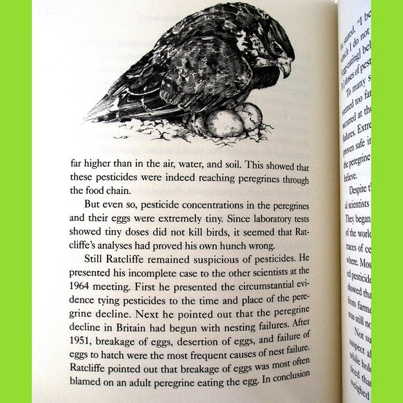 Book: The Case of the Mummified Pigs & Other Mysteries in Nature, Susan Quinlan - Picture 5 of 14